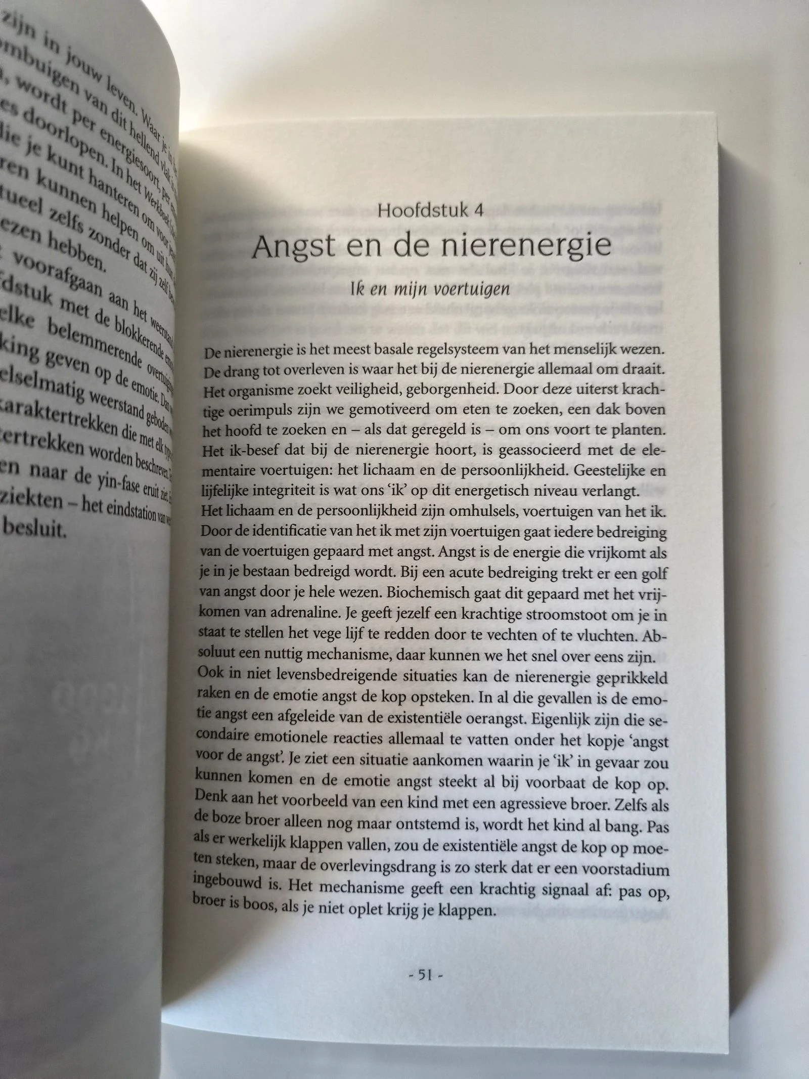O Livro O Buda Sorridente-Novo – photo 3